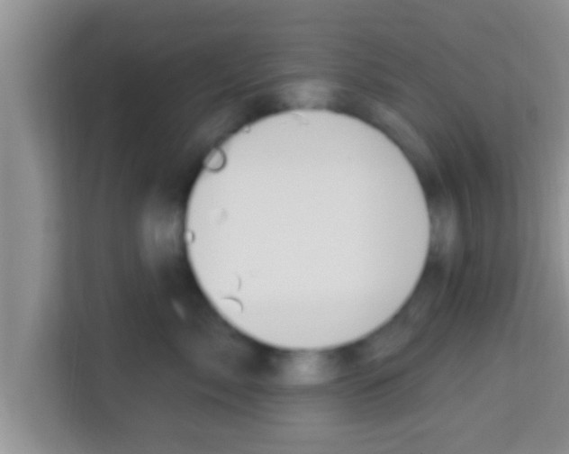 X0000113120717200910091137
