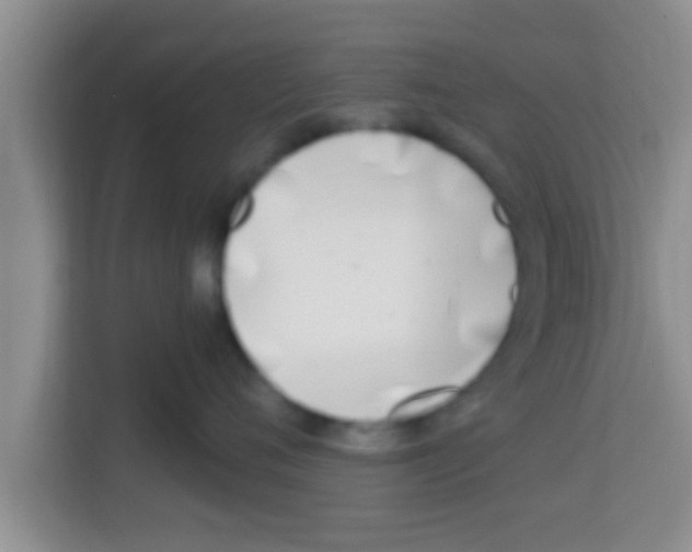 X0000113120720200910091137