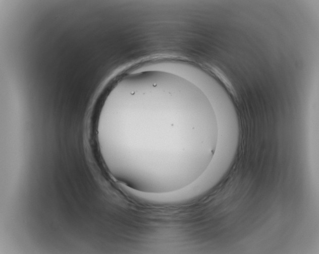 X0000113120724200910091136