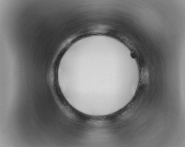 X0000113120726200910091136