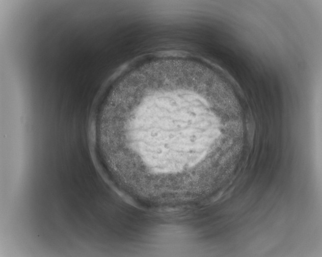 X0000113120729200910091136
