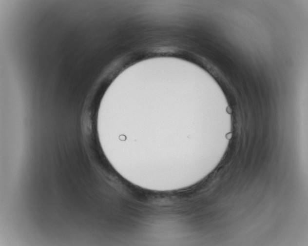 X0000113120731200910091136