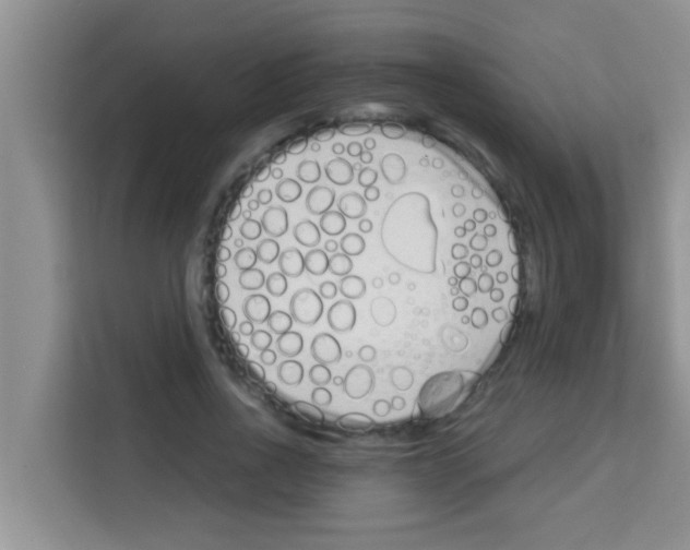 X0000113120734200910091136
