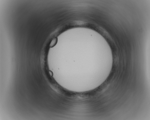 X0000113120736200910091136