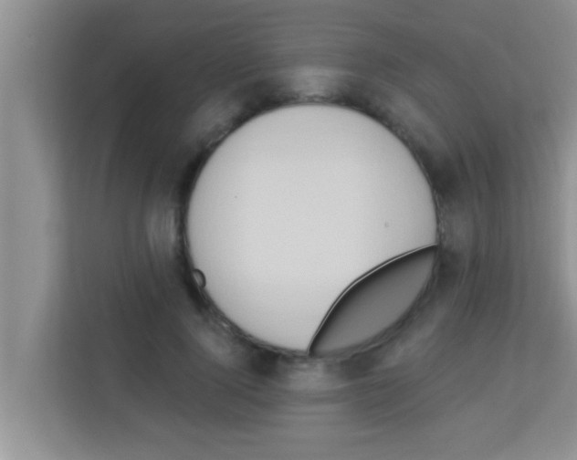 X0000113120740200910091136