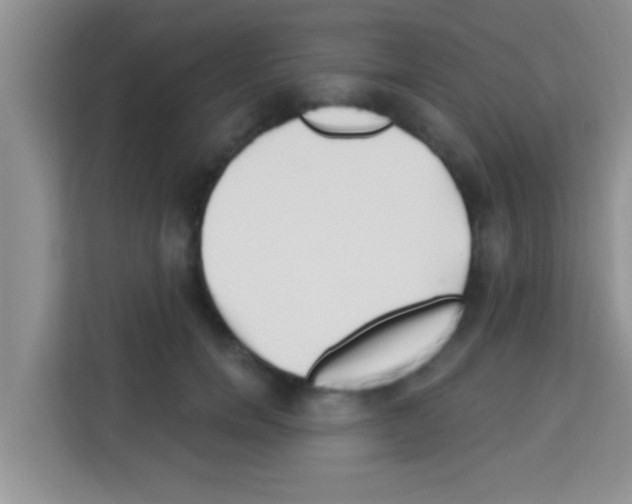X0000113120750200910091136