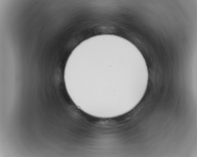 X0000113120752200910091137