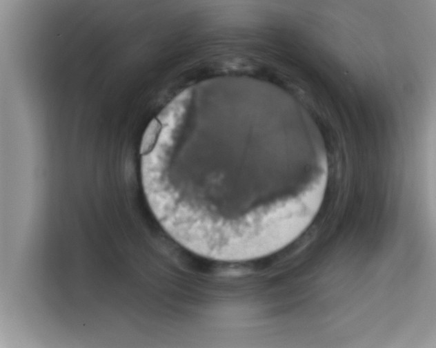 X0000113120754200910091137