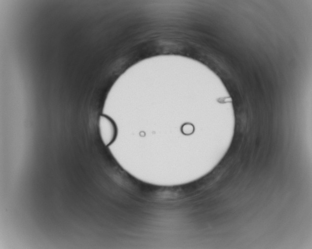 X0000113120756200910091137