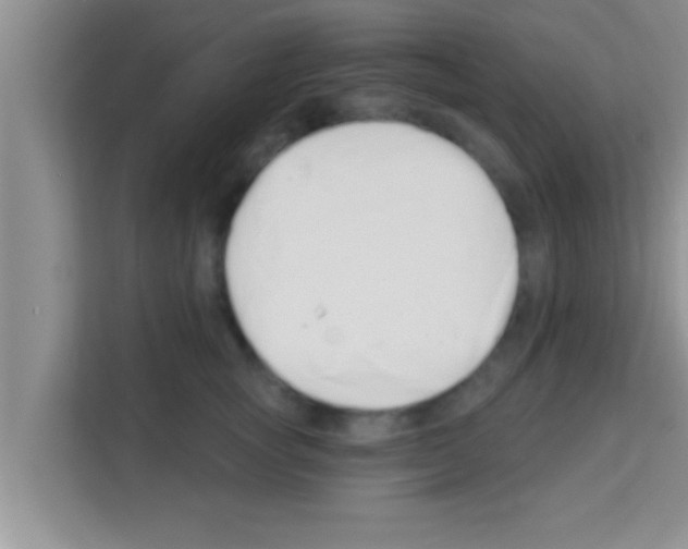 X0000113120757200910091137
