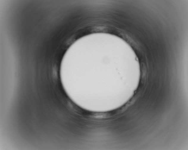X0000113120758200910091137