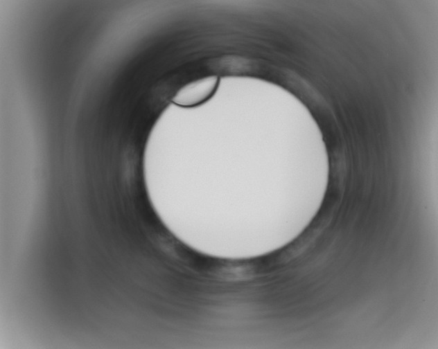 X0000113120760200910091137