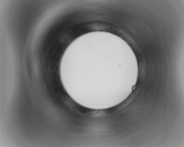 X0000113120762200910091137