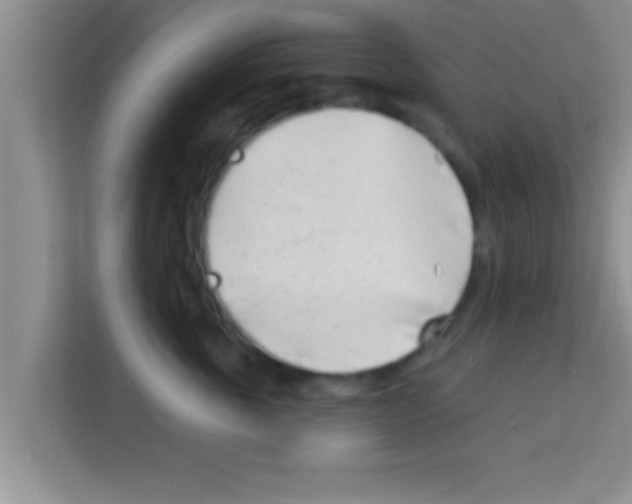 X0000113120763200910091137