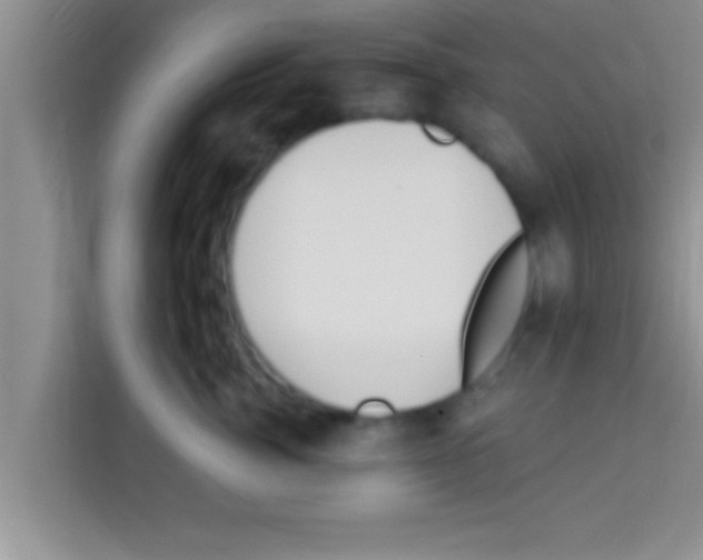 X0000113120764200910091137
