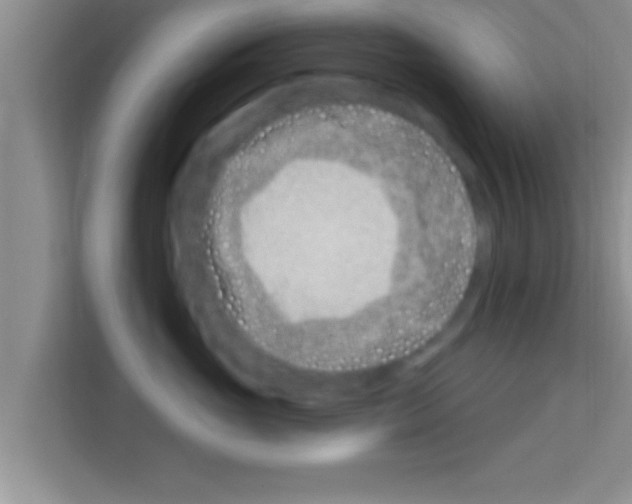X0000113120765200910091137