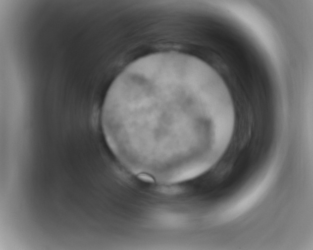 X0000113120767200910091137