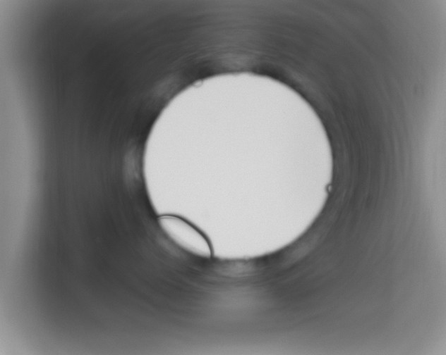 X0000113120768200910091137