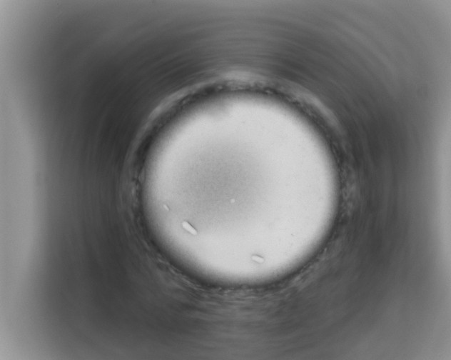 X0000113120776200910091136