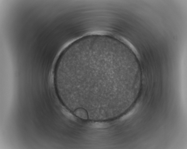 X0000113120779200910091136