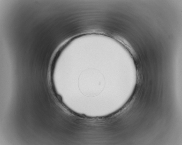 X0000113120780200910091136