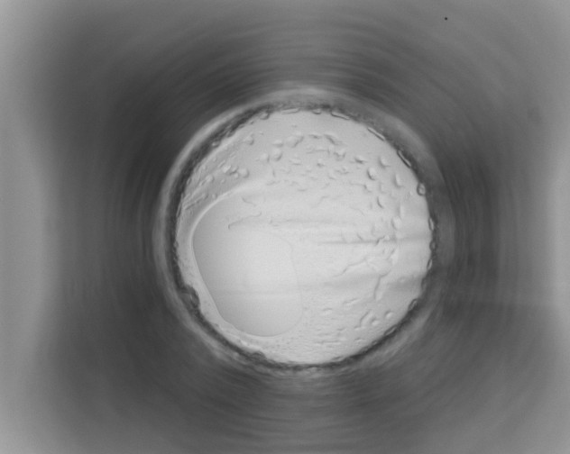 X0000113120784200910091136