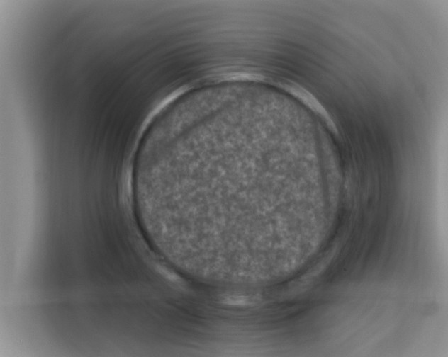 X0000113120790200910091136