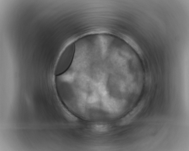 X0000113120797200910091136