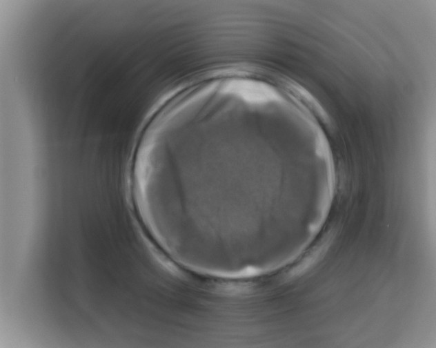 X0000113120802200910091136