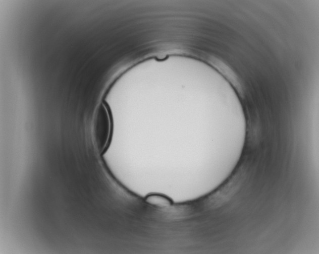 X0000113120805200910091136