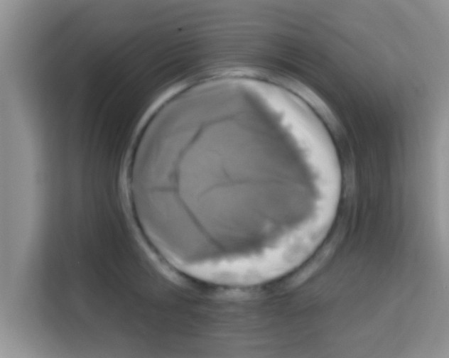 X0000113120806200910091136