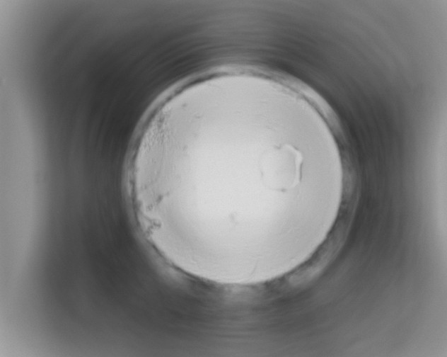 X0000113120807200910091136