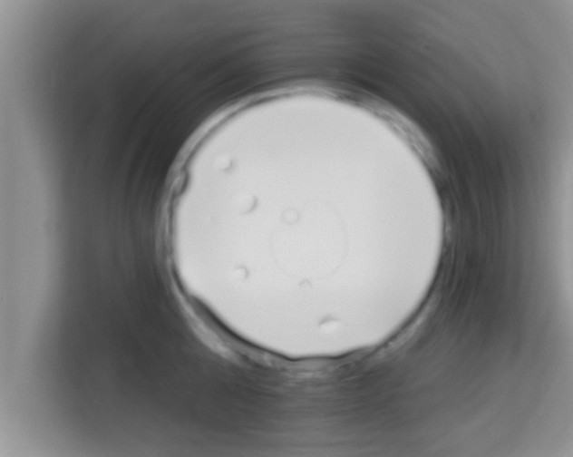 X0000113120808200910091136
