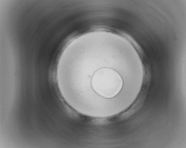 X0000113120810200910091136