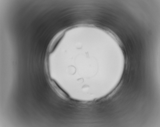 X0000113120812200910091136