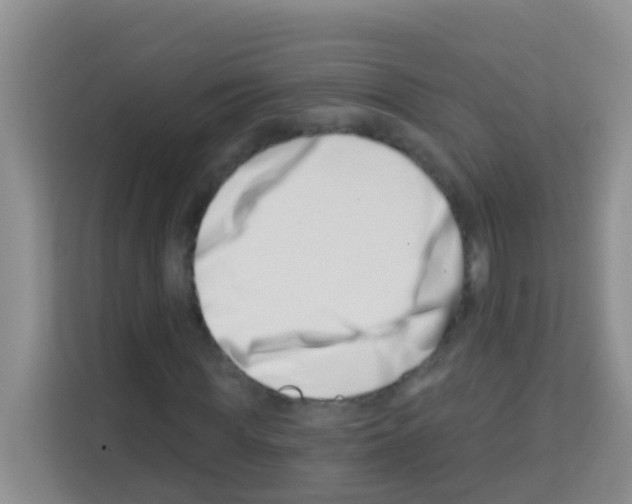X0000113120819200910091135