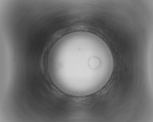 X0000113120820200910091135