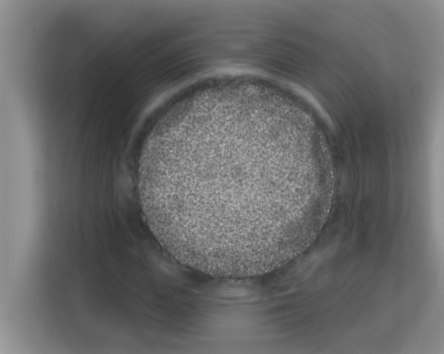 X0000113120823200910091135