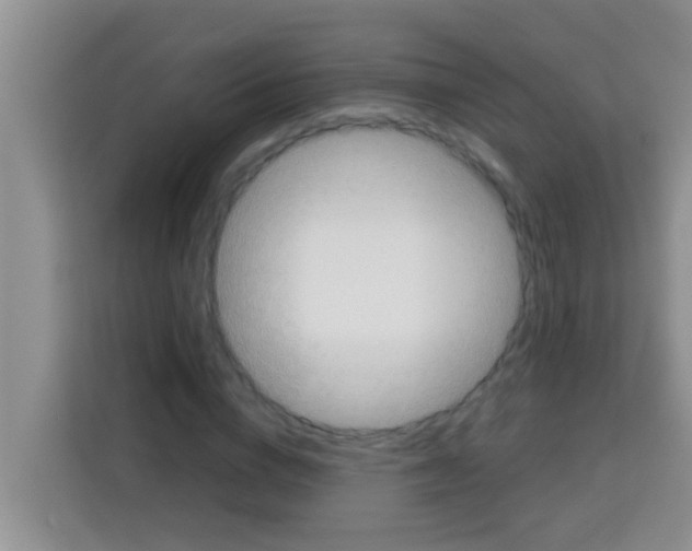 X0000113120824200910091135