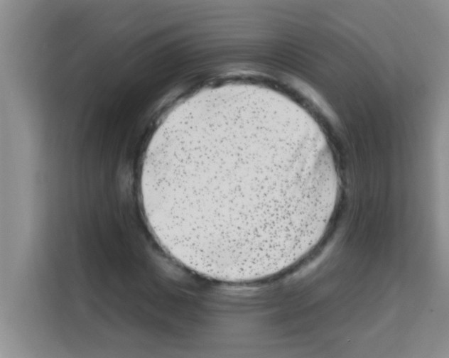 X0000113120825200910091135