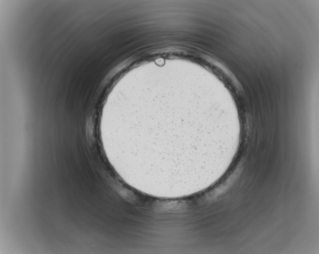 X0000113120826200910091135