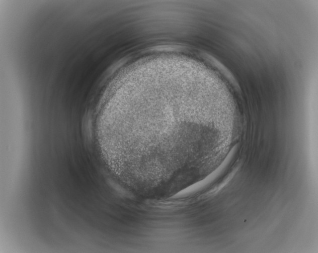 X0000113120829200910091135