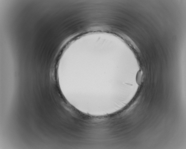 X0000113120830200910091135