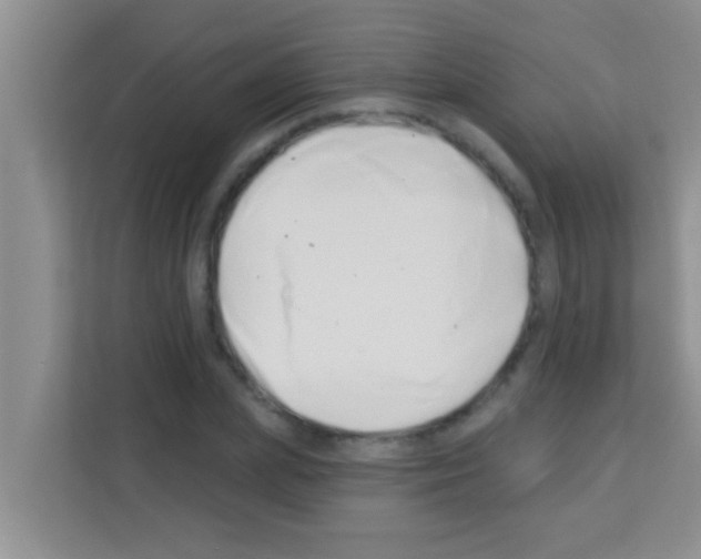 X0000113120831200910091135