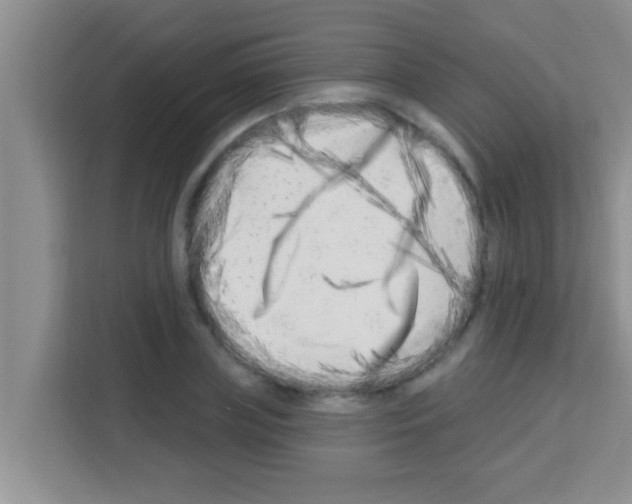 X0000113120835200910091135