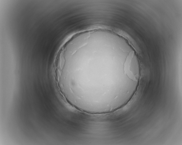 X0000113120836200910091135