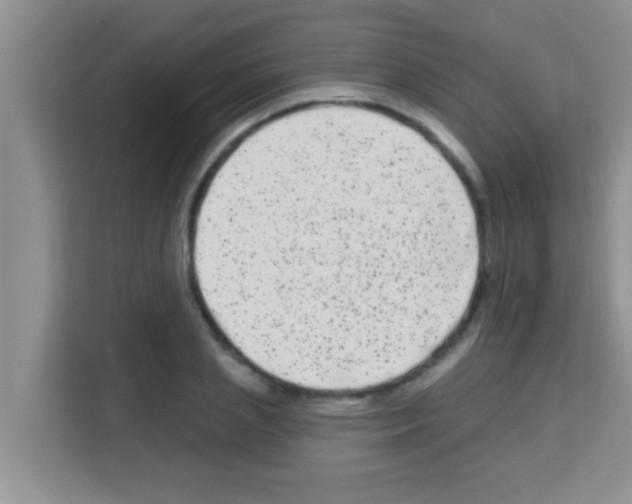 X0000113120837200910091135