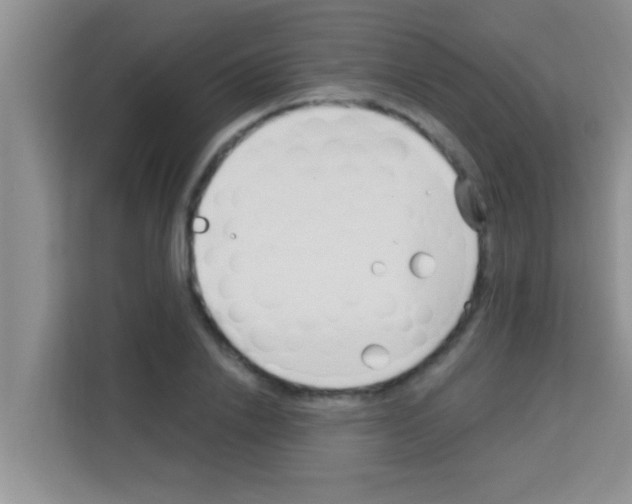 X0000113120838200910091135