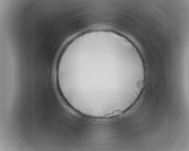 X0000113120840200910091135