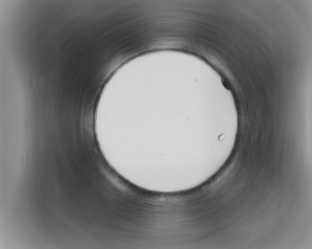 X0000113120842200910091135